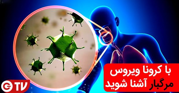 ویروس کرونا